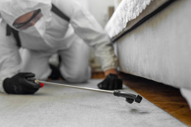 Professional Cockroach Control technician working in Hollywood Park, TX