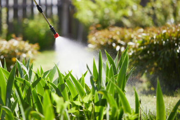 24/7 Emergency Cockroach Control experts in Hollywood Park, TX