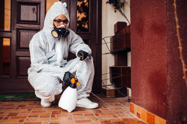 Reliable Cockroach Control contractor in Hollywood Park, TX by Nex Pest Control